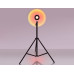 Настольная лампа декоративная Ambrella Light DE DE8387 Настольная лампа декоративная Ambrella Light DE DE8387