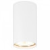 Накладной светильник Ambrella Light TN TN213108 Накладной светильник Ambrella Light TN TN213108