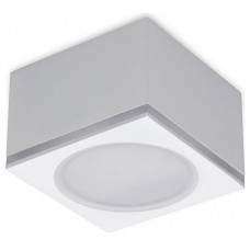 Накладной светильник Ambrella Light TN TN266 Накладной светильник Ambrella Light TN TN266