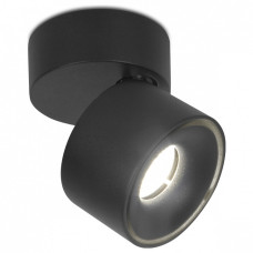 Спот Ambrella Light TN TN269 Спот Ambrella Light TN TN269