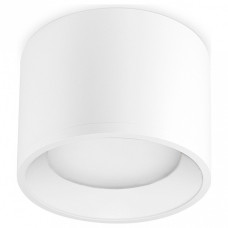 Накладной светильник Ambrella Light TN TN5321 Накладной светильник Ambrella Light TN TN5321