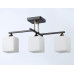 Люстра на штанге Ambrella Light TR TR303114 Люстра на штанге Ambrella Light TR TR303114