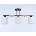 Люстра на штанге Ambrella Light TR TR9551 Люстра на штанге Ambrella Light TR TR9551
