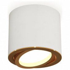 Накладной светильник Ambrella Light XS XS7401004 Накладной светильник Ambrella Light XS XS7401004