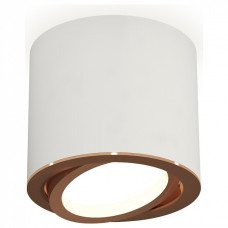 Накладной светильник Ambrella Light XS XS7401005 Накладной светильник Ambrella Light XS XS7401005