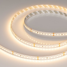 Лента светодиодная Arlight RT 38781 Лента светодиодная Arlight RT 38781