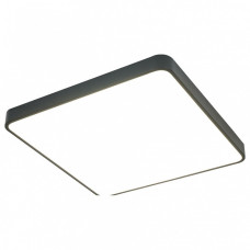 Накладной светильник Arte Lamp Scena A2669PL-1BK Накладной светильник Arte Lamp Scena A2669PL-1BK