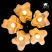 AR_A3479PL-5CC AR_A3479PL-5CC