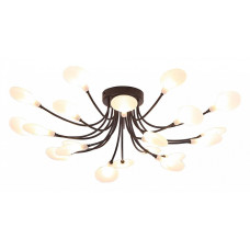 Потолочная люстра Arte Lamp Guimet A7423PL-20BK Потолочная люстра Arte Lamp Guimet A7423PL-20BK