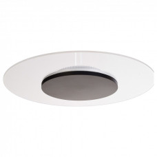 Накладной светильник Deko-Light Zaniah 620055 Накладной светильник Deko-Light Zaniah 620055