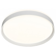 Накладной светильник Denkirs Cany DK6510-WH Накладной светильник Denkirs Cany DK6510-WH