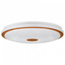 Накладной светильник Eglo ПРОМО Lanciano 1 900599 Накладной светильник Eglo ПРОМО Lanciano 1 900599