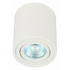 Накладной светильник Эра OL21 WH Б0054392