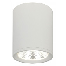 Накладной светильник Escada 20003 20003SMU/02LED SWH