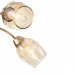 Потолочная люстра Escada Allium 663/5P Потолочная люстра Escada Allium 663/5P
