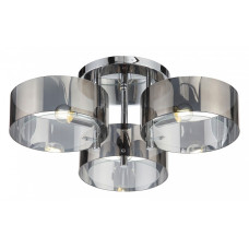 Накладной светильник EVOLUCE Foresta SL483.702.03 Накладной светильник EVOLUCE Foresta SL483.702.03