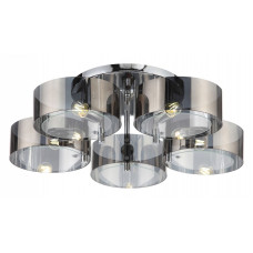 Накладной светильник EVOLUCE Foresta SL483.702.05 Накладной светильник EVOLUCE Foresta SL483.702.05