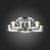 Накладной светильник EVOLUCE Foresta SL483.702.05 Накладной светильник EVOLUCE Foresta SL483.702.05