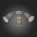 Потолочная люстра EVOLUCE Maleonte SLE103002-03 Потолочная люстра EVOLUCE Maleonte SLE103002-03