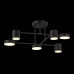 Потолочная люстра EVOLUCE Nobel SLE201042-06 Потолочная люстра EVOLUCE Nobel SLE201042-06