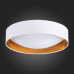 Накладной светильник EVOLUCE Orbio SLE201122-01 Накладной светильник EVOLUCE Orbio SLE201122-01