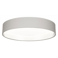 Накладной светильник EVOLUCE Brescia SLE300512-01 Накладной светильник EVOLUCE Brescia SLE300512-01