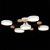 Потолочная люстра EVOLUCE Faema SLE6006-502-05 Потолочная люстра EVOLUCE Faema SLE6006-502-05