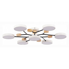 Потолочная люстра EVOLUCE Faema SLE6006-502-07 Потолочная люстра EVOLUCE Faema SLE6006-502-07