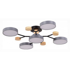 Потолочная люстра EVOLUCE Faema SLE6006-702-05 Потолочная люстра EVOLUCE Faema SLE6006-702-05