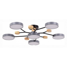 Потолочная люстра EVOLUCE Faema SLE6006-702-06 Потолочная люстра EVOLUCE Faema SLE6006-702-06