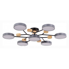 Потолочная люстра EVOLUCE Faema SLE6006-702-07 Потолочная люстра EVOLUCE Faema SLE6006-702-07