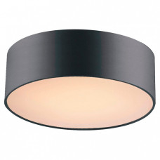 Накладной светильник Favourite Cerchi 1514-2C Накладной светильник Favourite Cerchi 1514-2C