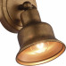 FV_2024-1W FV_2024-1W