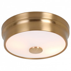 Накладной светильник Favourite Pannikin 2375-2C Накладной светильник Favourite Pannikin 2375-2C