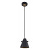 Подвесной светильник F-promo Rigor 2844-1P Подвесной светильник F-promo Rigor 2844-1P