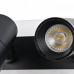 FV_4079-2C FV_4079-2C