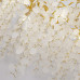 FV_4161-12P FV_4161-12P