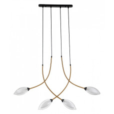 Подвесной светильник Indigo Fiore 13001/4P Black