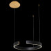 Подвесной светильник Loft it Ring 10025/400 Black Подвесной светильник Loft it Ring 10025/400 Black