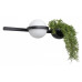 Бра Loft it Jardin 10121W/A Бра Loft it Jardin 10121W/A