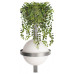 Бра Loft it Jardin 10121W/B Dark grey