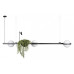 Подвесной светильник Loft it Jardin 10121/C Подвесной светильник Loft it Jardin 10121/C
