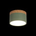 Накладной светильник Loft it Grape 10162 Green Накладной светильник Loft it Grape 10162 Green