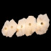 Накладной светильник Loft it Alicante 10248/5W Накладной светильник Loft it Alicante 10248/5W