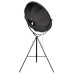 Торшер Loft it Studio 10301/L Торшер Loft it Studio 10301/L