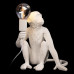 Настольная лампа декоративная Loft it Monkey 10314T/A Настольная лампа декоративная Loft it Monkey 10314T/A