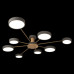 Потолочная люстра Loft it Sunrise 10316/8 Grey Потолочная люстра Loft it Sunrise 10316/8 Grey