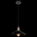Подвесной светильник Loft it Factory Filament LOFT1101 Подвесной светильник Loft it Factory Filament LOFT1101
