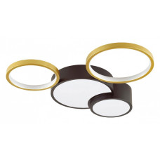 Потолочная люстра Lumion Norbert 5255/64CL Потолочная люстра Lumion Norbert 5255/64CL