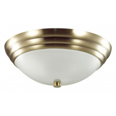 Накладной светильник Lumion Kayla 5262/2C Накладной светильник Lumion Kayla 5262/2C